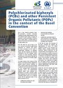 PCBs and other POPs in the context of the Basel Convention